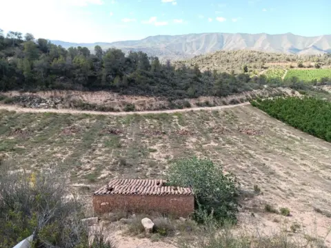 Finca rústica en calle Partida Vall de Amet, nº Sn